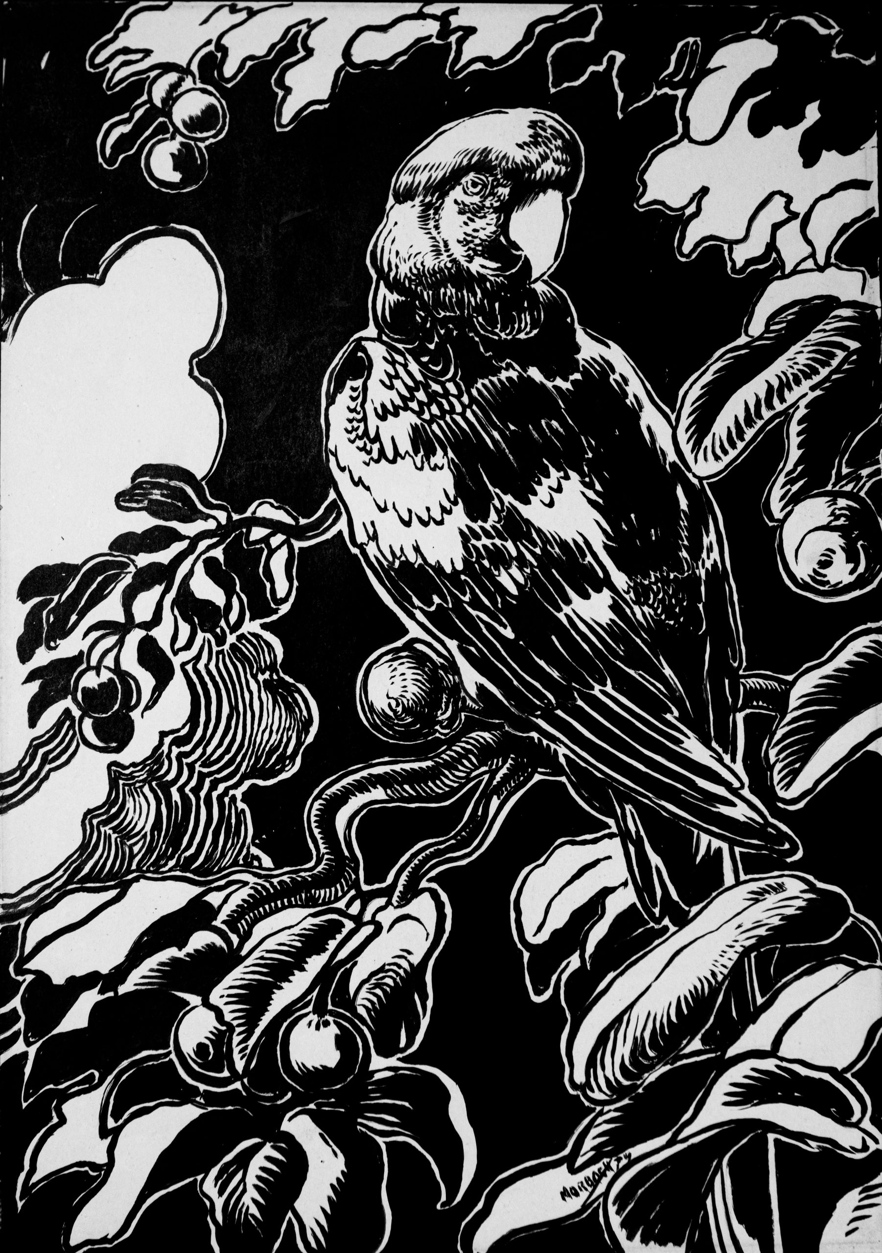 01-Arara (1974) Augusto Morbach